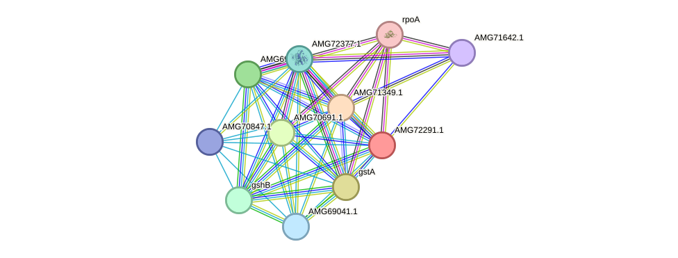 STRING protein interaction network