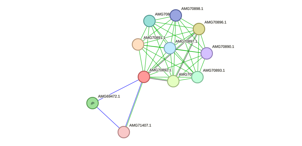 STRING protein interaction network