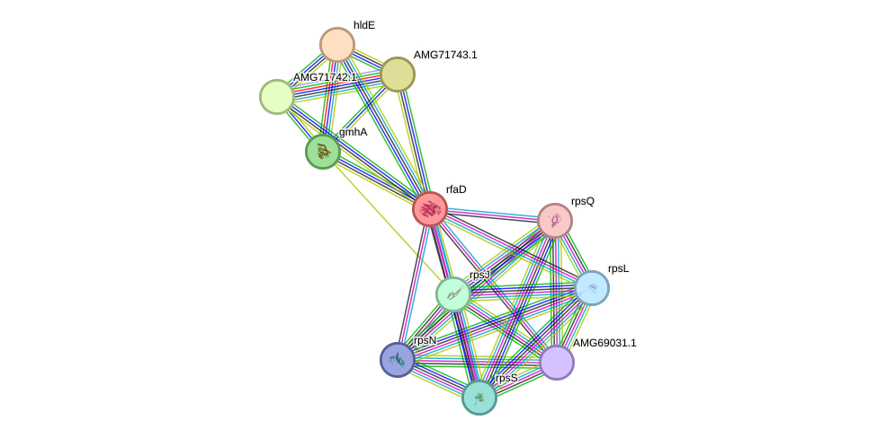 STRING protein interaction network