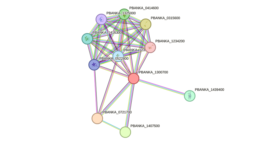 STRING protein interaction network