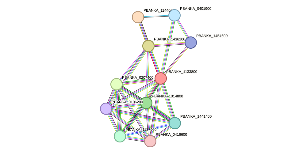 STRING protein interaction network