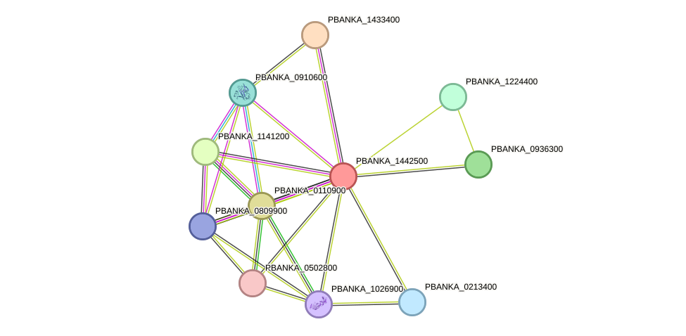 STRING protein interaction network