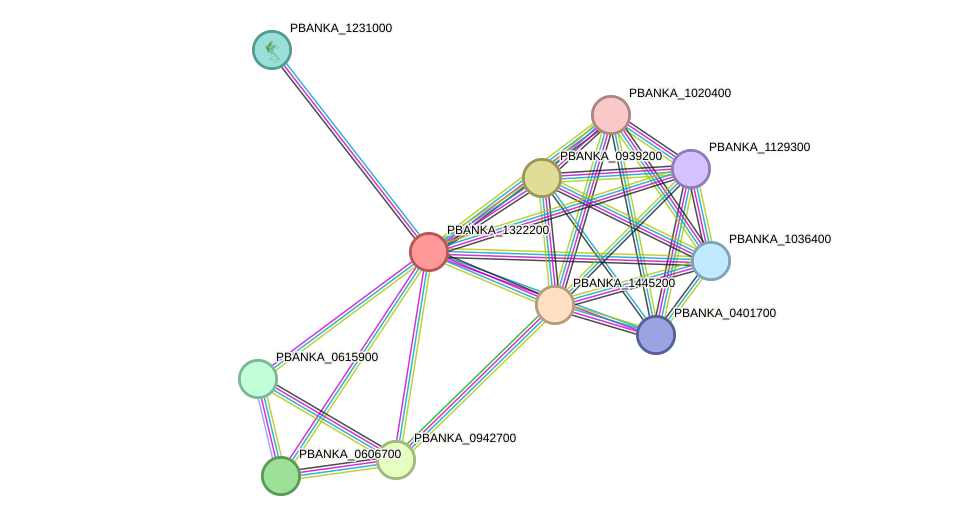 STRING protein interaction network