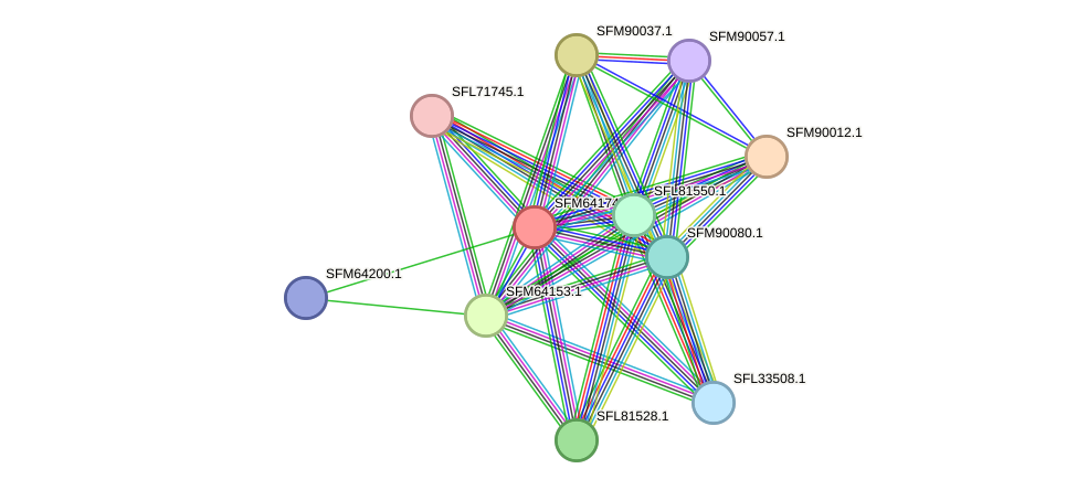 STRING protein interaction network