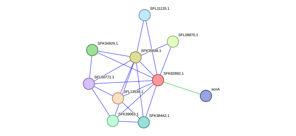 STRING protein interaction network