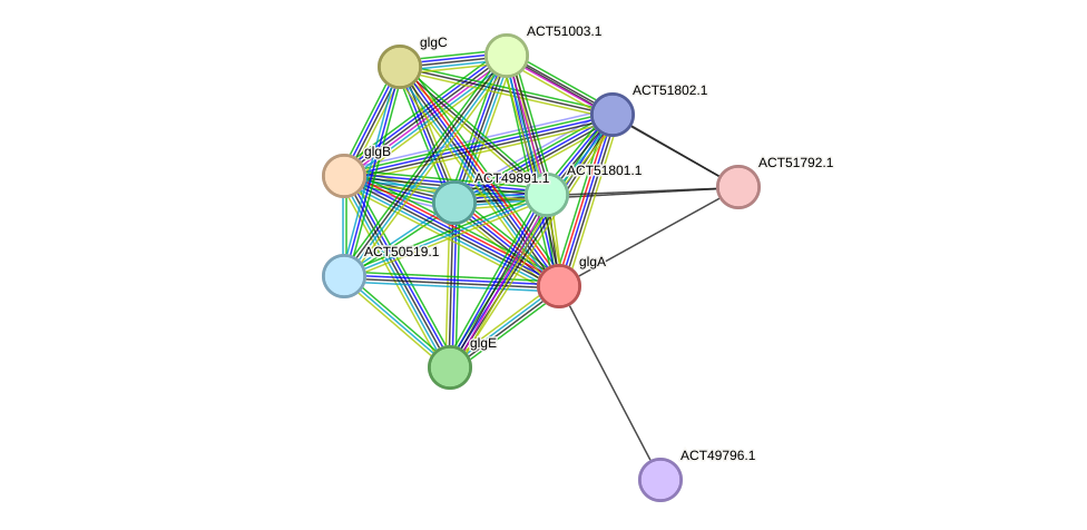 STRING protein interaction network