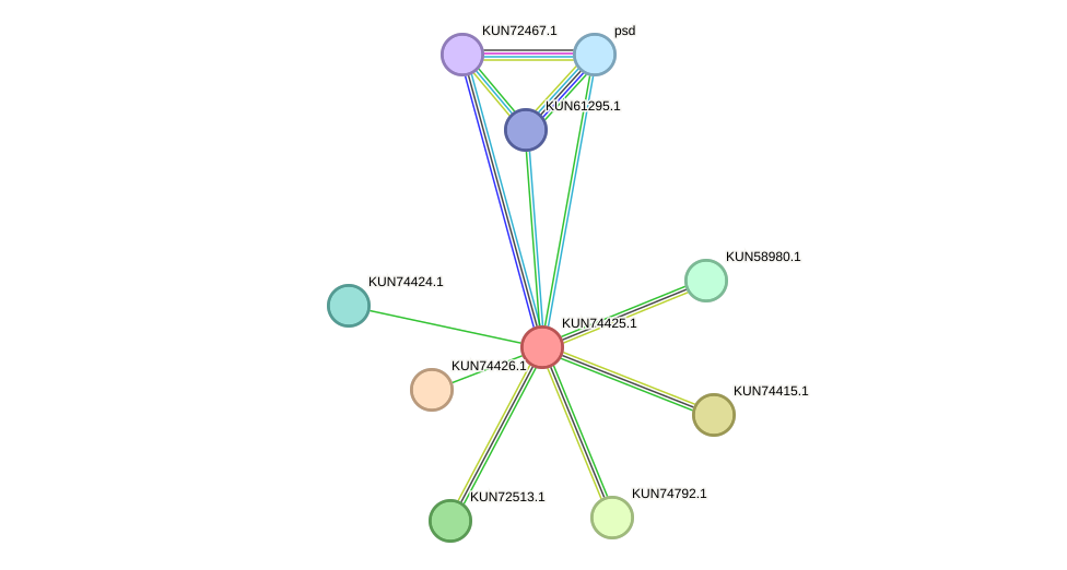 STRING protein interaction network