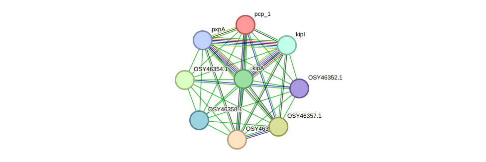 STRING protein interaction network