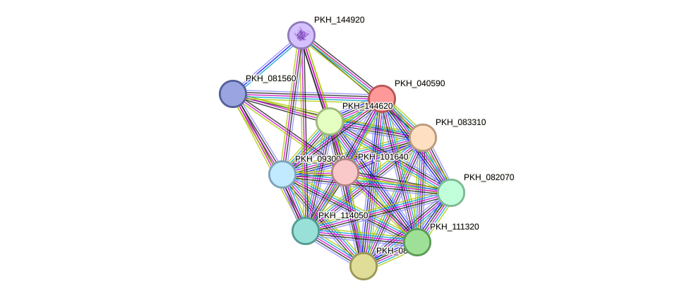 STRING protein interaction network