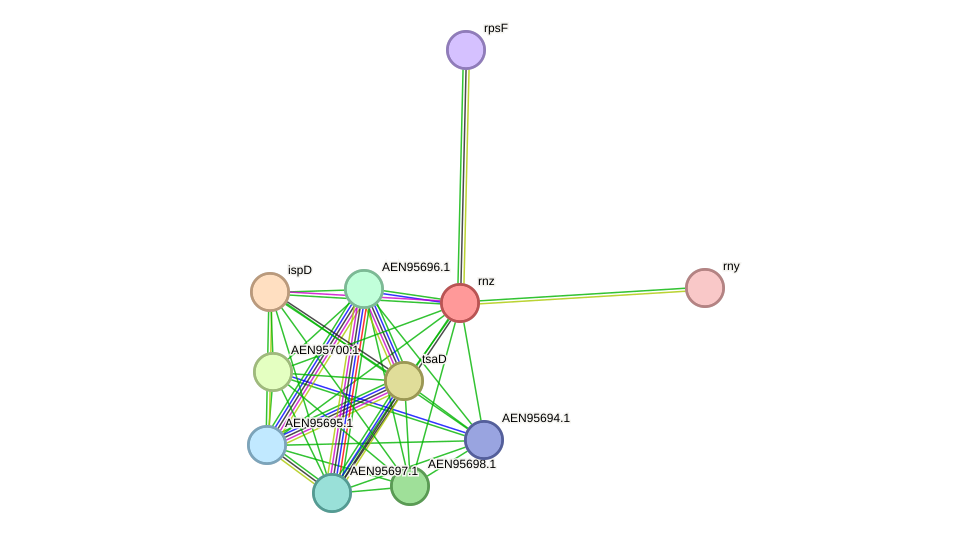 STRING protein interaction network