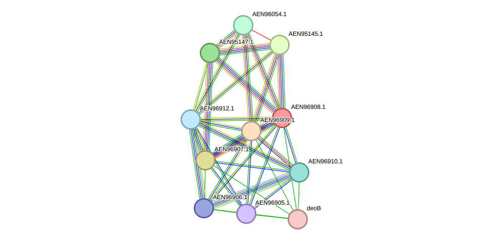 STRING protein interaction network