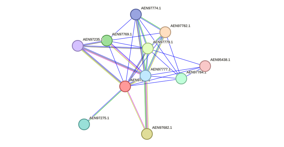 STRING protein interaction network