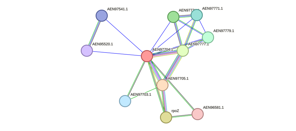 STRING protein interaction network