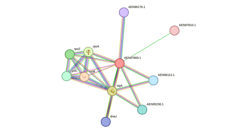 STRING protein interaction network