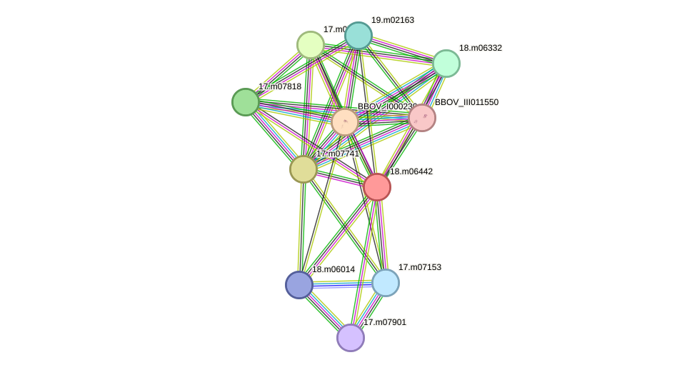 STRING protein interaction network