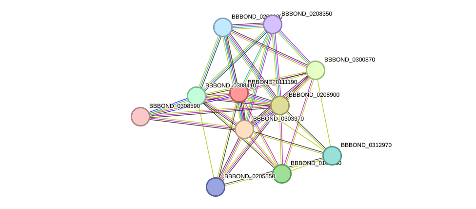 STRING protein interaction network