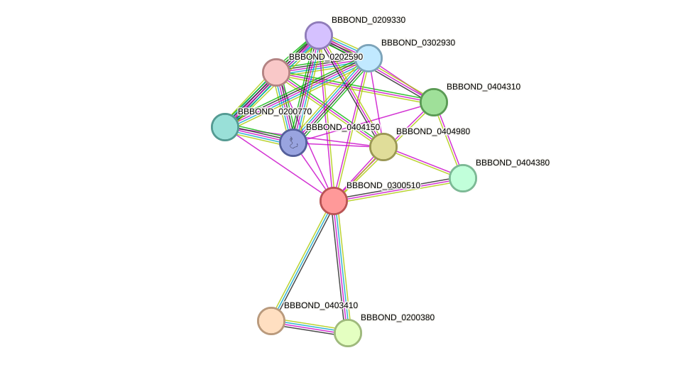 STRING protein interaction network