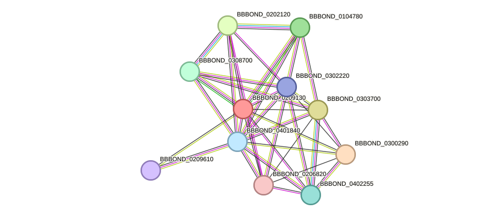 STRING protein interaction network