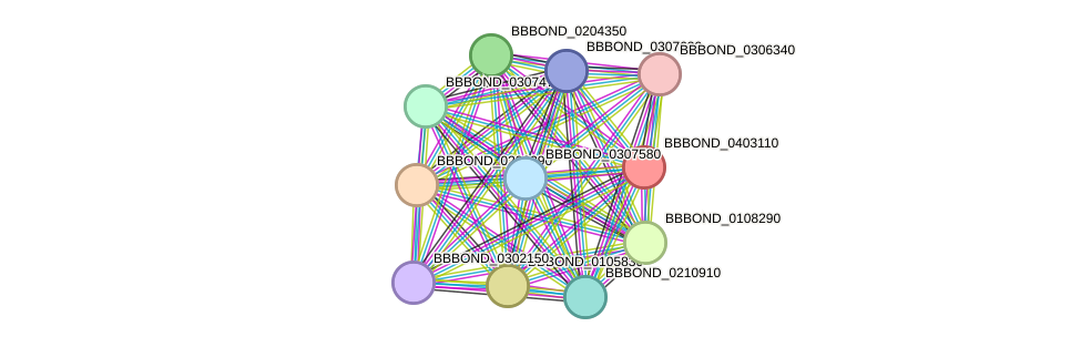 STRING protein interaction network