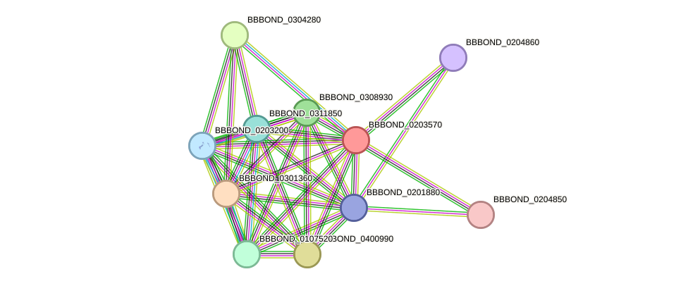 STRING protein interaction network