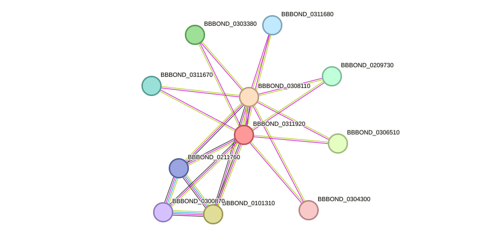 STRING protein interaction network