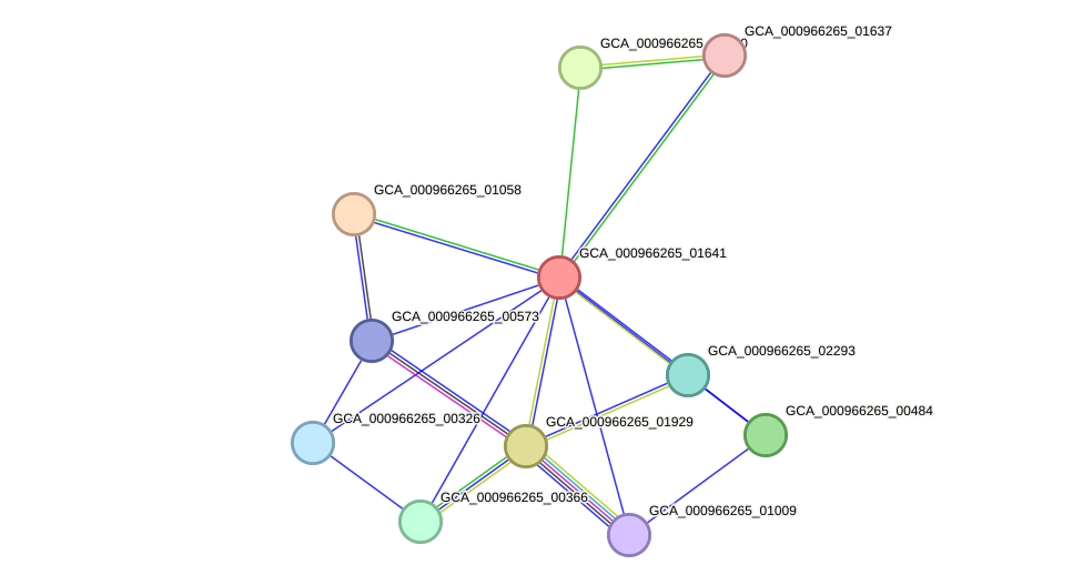 STRING protein interaction network