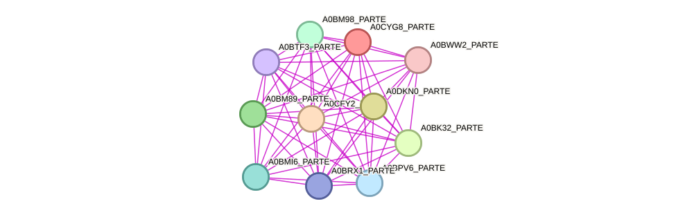 STRING protein interaction network