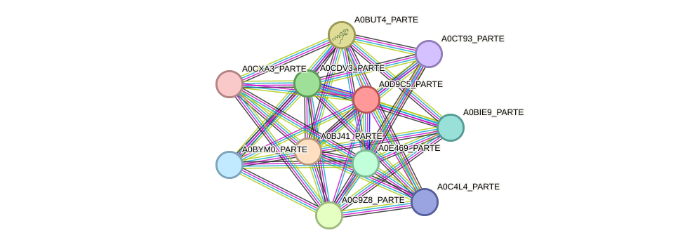 STRING protein interaction network