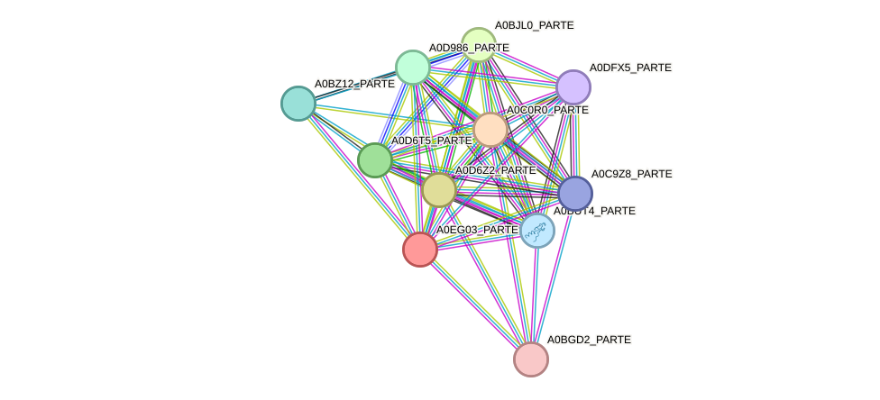 STRING protein interaction network