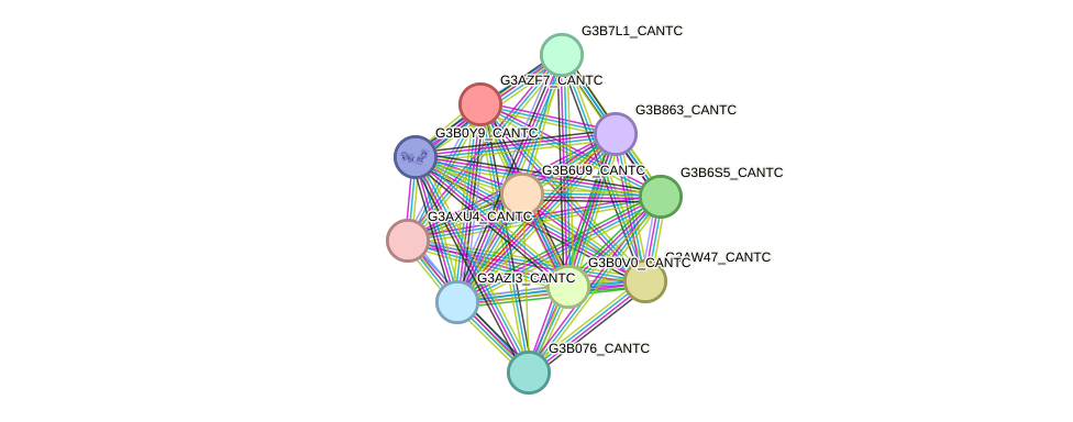 STRING protein interaction network