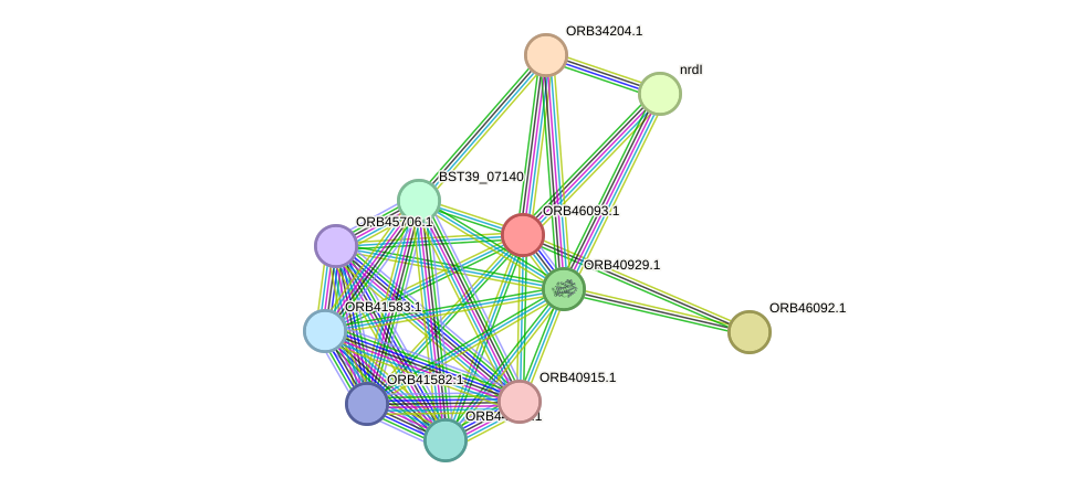 STRING protein interaction network