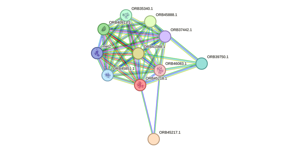 STRING protein interaction network