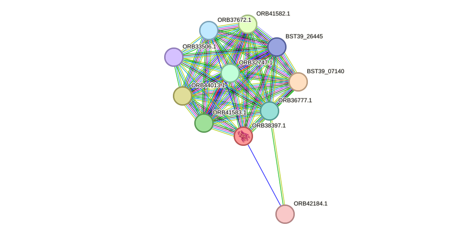 STRING protein interaction network