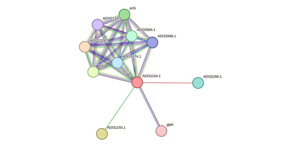 STRING protein interaction network