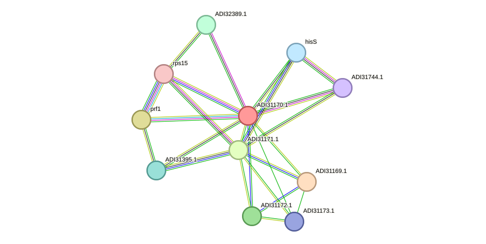 STRING protein interaction network