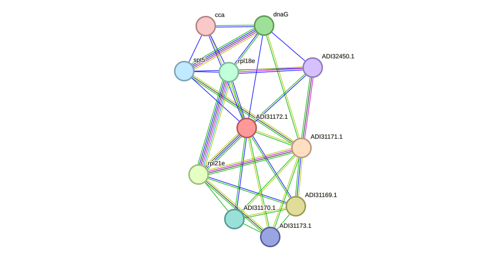 STRING protein interaction network
