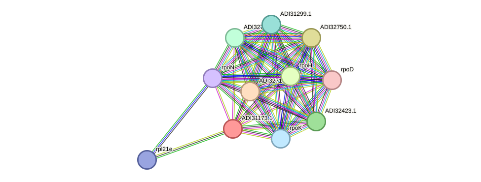 STRING protein interaction network