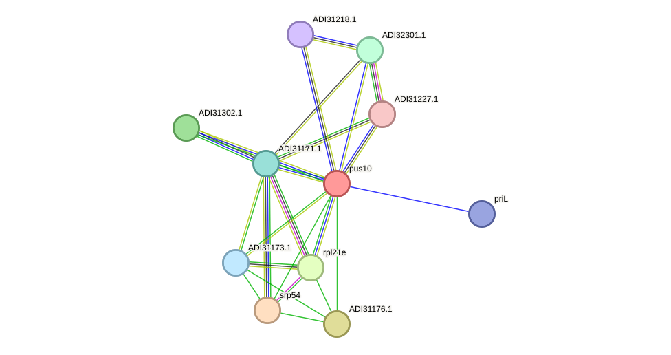 STRING protein interaction network