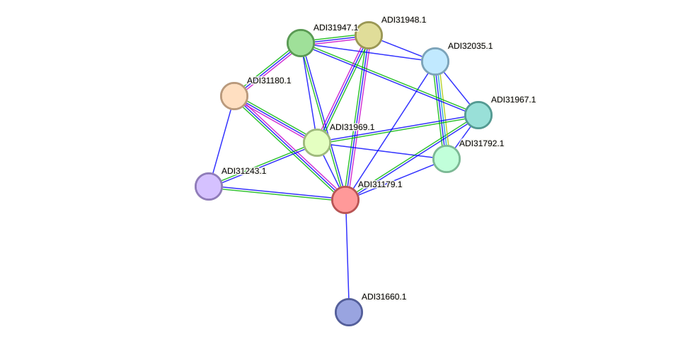 STRING protein interaction network