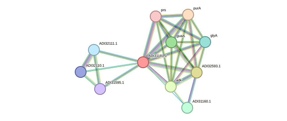 STRING protein interaction network