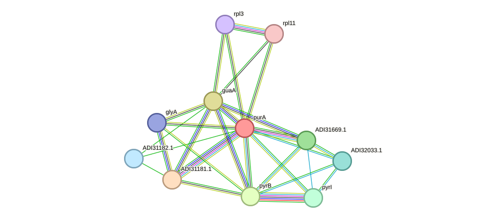 STRING protein interaction network