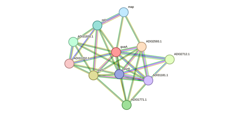 STRING protein interaction network