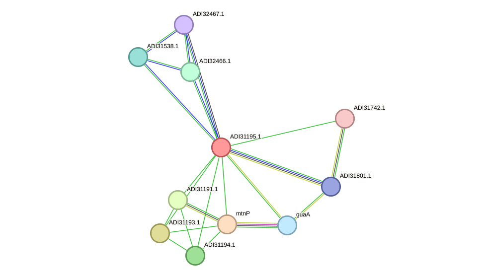 STRING protein interaction network