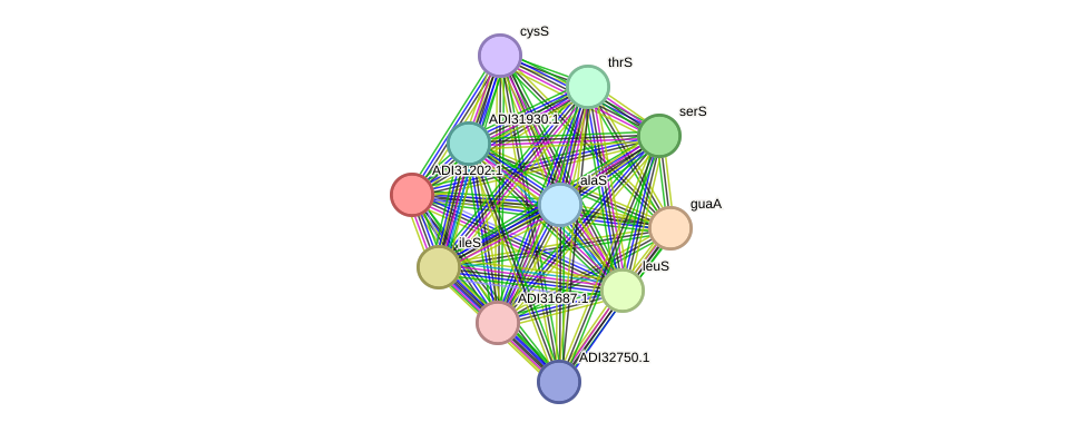 STRING protein interaction network