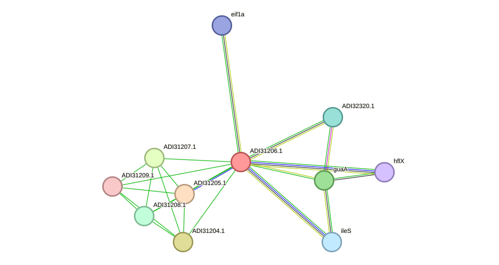 STRING protein interaction network