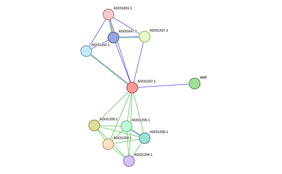 STRING protein interaction network