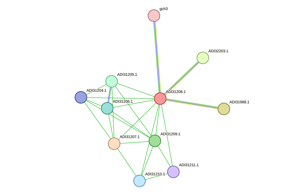 STRING protein interaction network