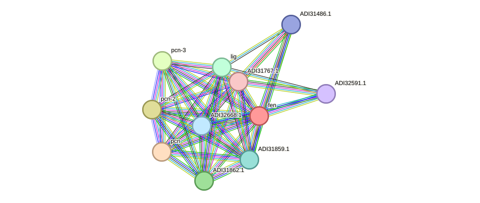 STRING protein interaction network