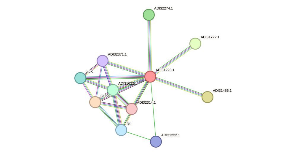 STRING protein interaction network