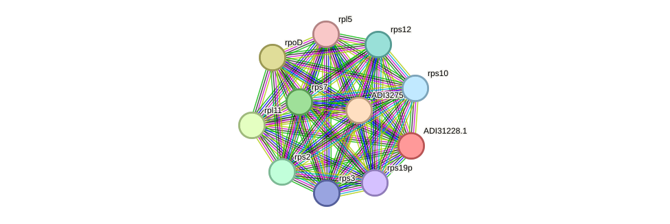 STRING protein interaction network